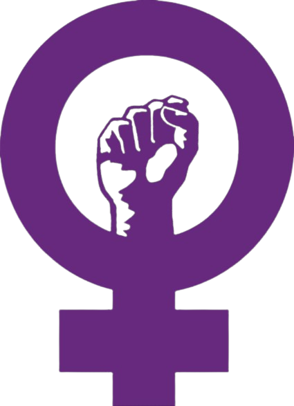 Portada del proyecto Violencia contra mujeres entre 15-24 años