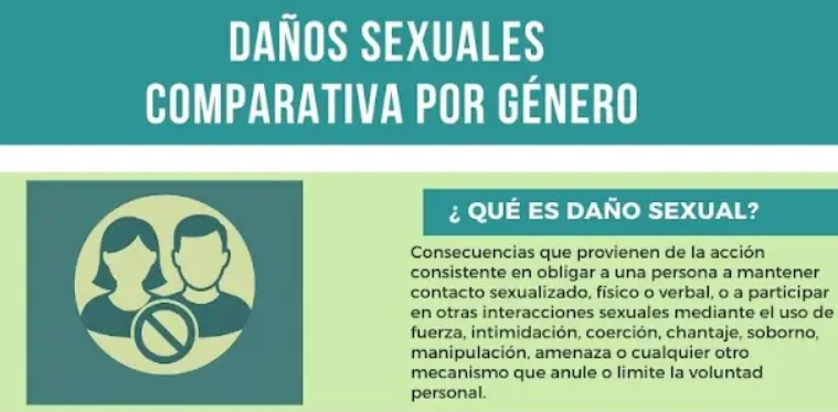 Portada del proyecto Daños sexuales, una perspectiva de género en jóvenes indígenas en los altos de Chiapas